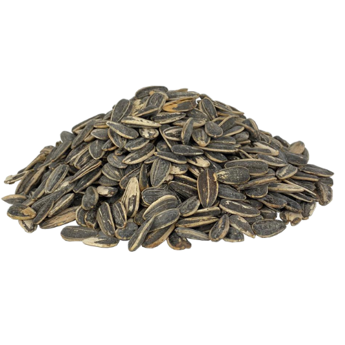 Sunflower Seeds Roasted & Salted